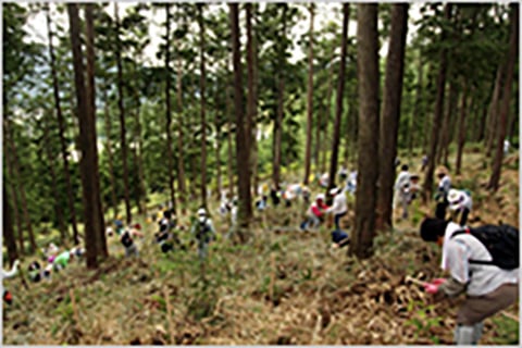 2010年9月撮影 市民による森づくりin中津川市2010の画像