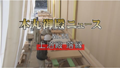 2017年10月~2018年2月撮影 上洛殿 落縁の画像